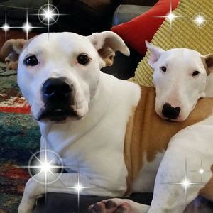 Meet your Posher, Mary ellen